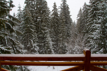 Obraz na płótnie Canvas Forest View of the chalet. Snow. .