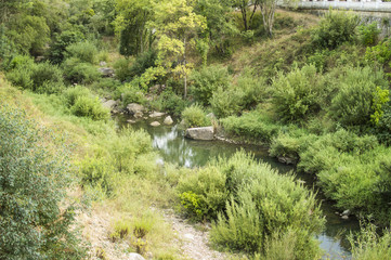 Arroyo en plena naturaleza