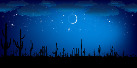 Saguaro Cactus at night. Vector background.