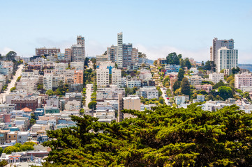 Fototapeta na wymiar San Francisco in june - California - USA