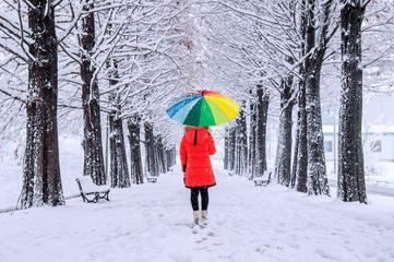 Girl with colourful umbrella walking on the path and row trees.