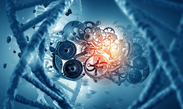 DNA molecule and cogwheel engine