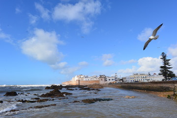 Essaouira Marokko