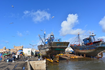 Fototapeta premium Essaouira Marokko