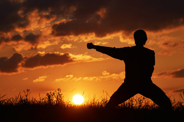 Man practicing karate on the grassy horizon at sunset. A blow with the fist, Uraken Uchi. Art of self-defense. Silhouette on a background of dramatic clouds at sunset.