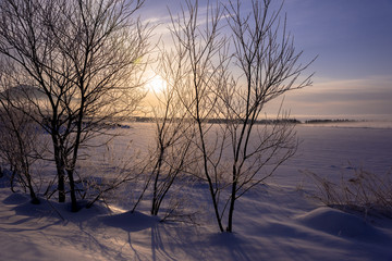 朝の光と霧氷の木々