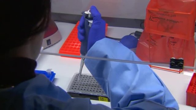 CDC scientists in appropriate personal protective equipment perform various laboratory tests related to antimicrobial resistance in healthcare-associated infections.