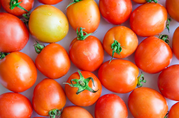 tomatoes background