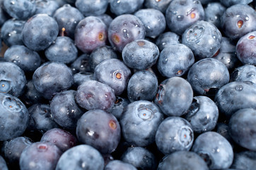 Background of blackberries