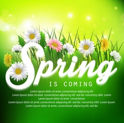Obraz premium Fresh spring background with grass and flowers
