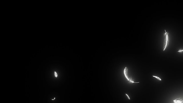 通り抜ける羽　pass_through_feather