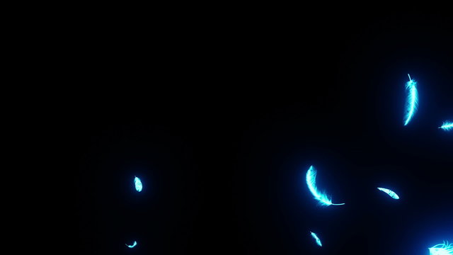通り抜ける羽　pass_through_feather