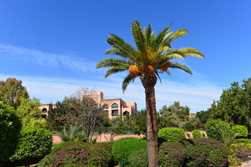 Fototapeta na wymiar Marrakesch Gärten im Frühling