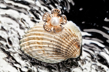 Ring And Shell