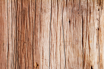 wood texture