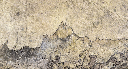 old wood stem with harmonic structure