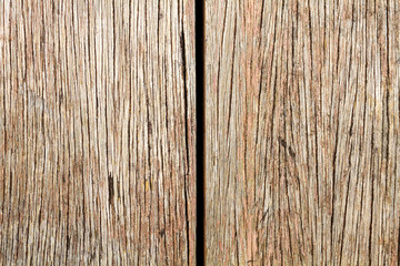 Closeup wood texture