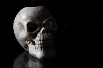 shadowy skull on black