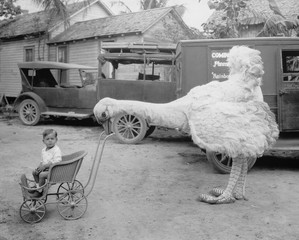 Fake ostrich pushing boy in stroller 