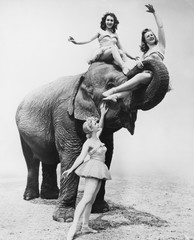 Kobiety na Słoniu
