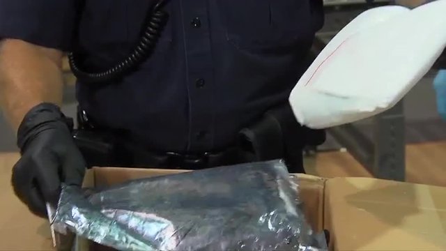 Homeland Security agents search a suspicious package in a shipping facility and discover hidden drugs.