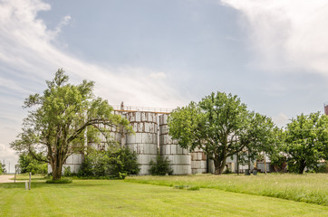Rusty Silos and Trees