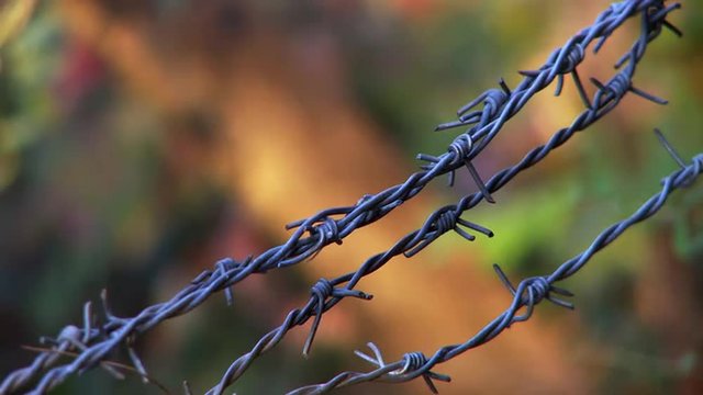 Close up view of barbed wire fence in fall