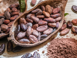 Cocao powder and cocao beans on the wooden table.