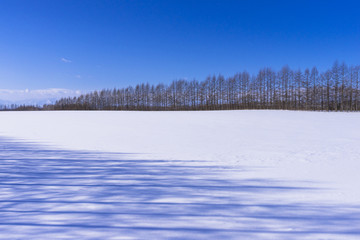 北の大地の雪景色