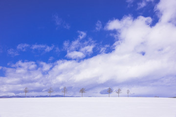 北の大地の雪景色