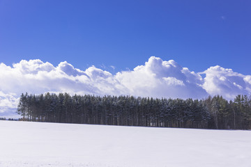 北の大地の雪景色