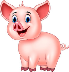 Cute pig posing isolated on white background