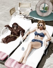 Szympans i kobieta opalająca się - 104458985