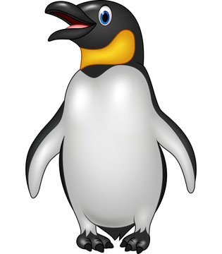 Cute emperor penguin standing isolated on white background