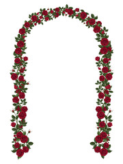 Arch of red climbing roses. Floral design. Wedding decoration. Vector illustration, detailed, isolated on white background.