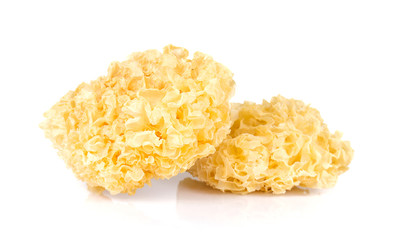 White Jelly Fungus on white background.