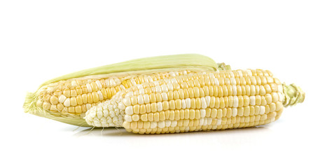 Yellow corn on white background.