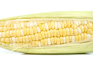 Yellow corn on white background.