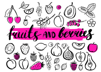 Vector handwritten food elements with rough edges