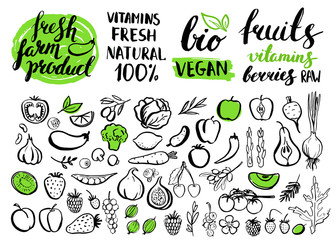 Vector handwritten food elements with rough edges.