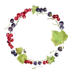 Watercolor wreath of berries of a black and red currants