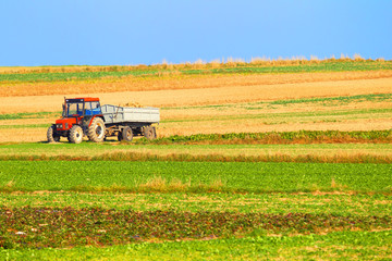 Naklejka premium Tractor in a farmer field.