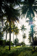 One of the few huts on the private island Cendekian, in the Karimunjawa archipelago, Indonesia.