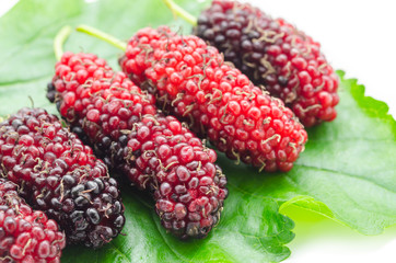 Group of mulberries with a green leaf.