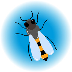 Fototapeta premium Isolated bee icon