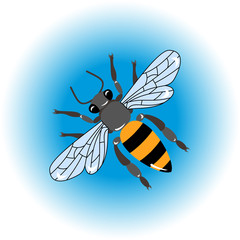 Isolated  bee icon