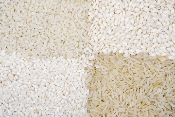 Various color and shape varieties of rice
