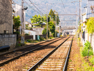 Fototapeta premium Arashiyama