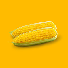Corns with shadow isolated on yellow background.
