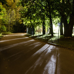 night streets in city